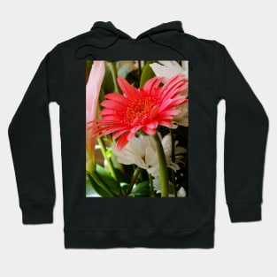 Gerbera Flower Hoodie